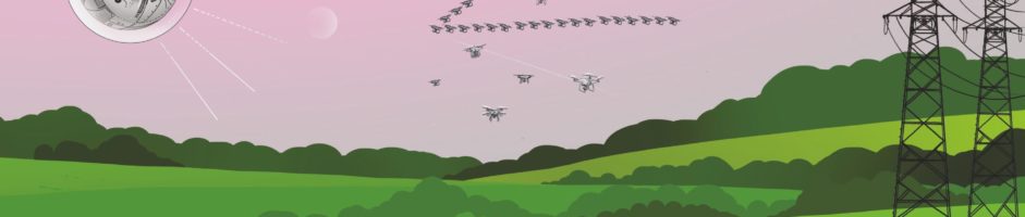 MUCHY | szaroróżowa trasa