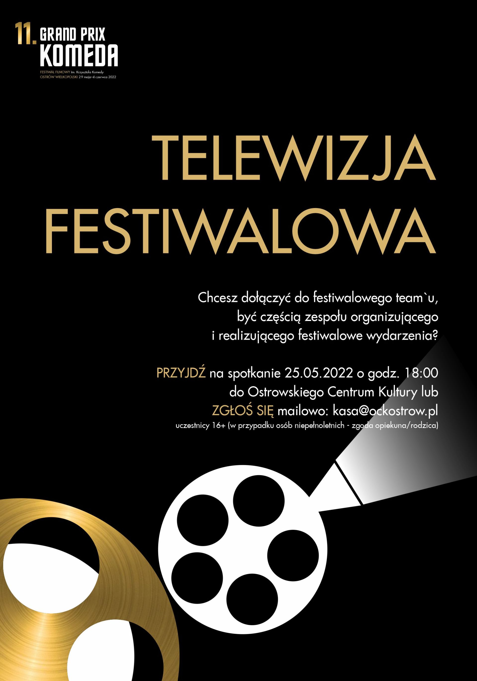 TELEWIZJA FESTIWALOWA
