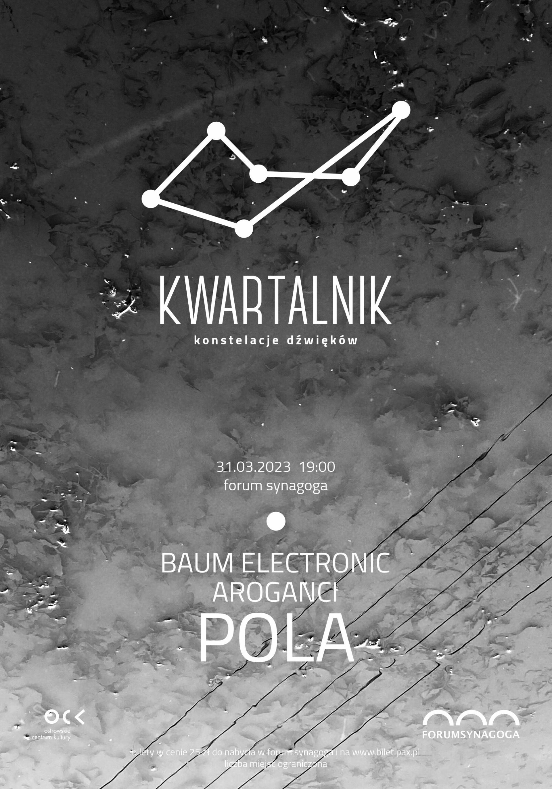 KWARTALNIK – KONSTELACJE DŹWIĘKÓW 2023 | Baum Electronic | Aroganci | Pola