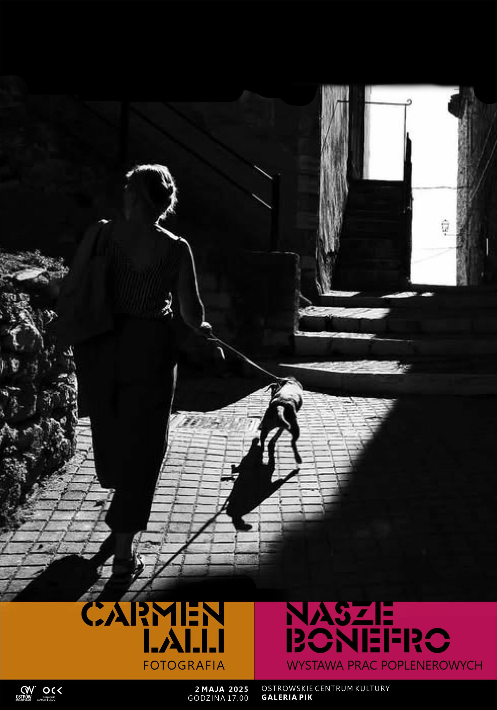 Carmen Lalli. Fotografia | Nasze Bonefro. Wystawa prac poplenerowych